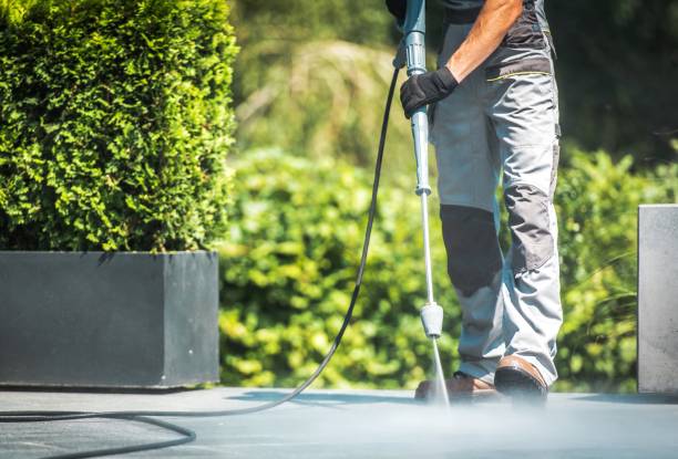 Best Roof Washing  in La Center, WA