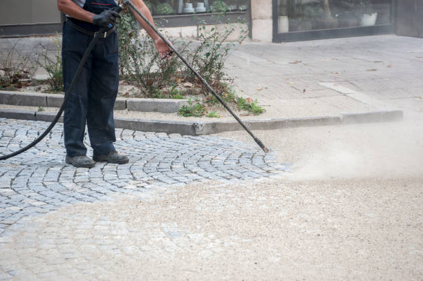 Best Animal Enclosure Cleaning  in La Center, WA