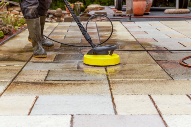 Best House Exterior Washing  in La Center, WA
