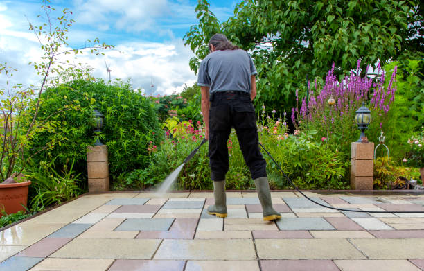 Best Sidewalk and Walkway Cleaning  in La Center, WA